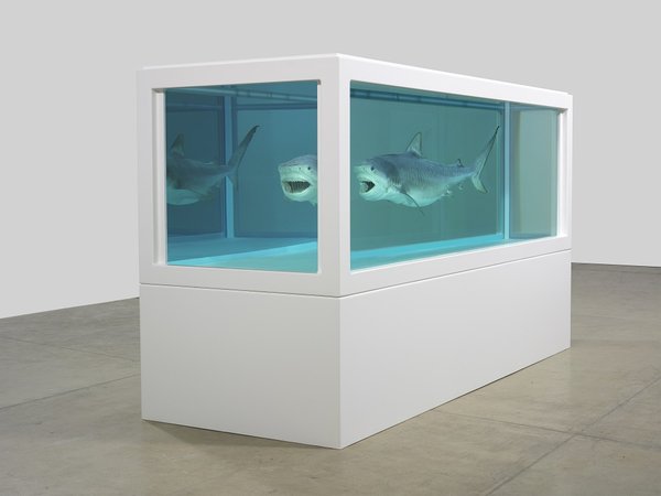 A Damien Hirst sculpture comprising a tiger shark suspended in a formaldehyde solution in a large metal and glass case