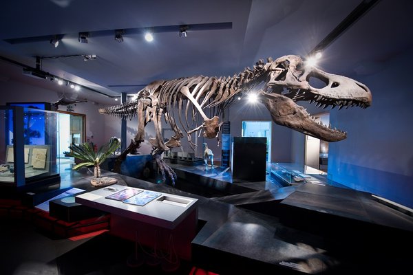  A replica T. rex skeleton at the Great North Museum, Newcastle upon Tyne